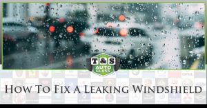 How To Fix A Leaking Windshield - T&S Auto Glass