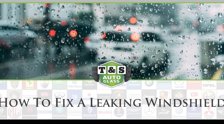 How To Fix A Leaking Windshield